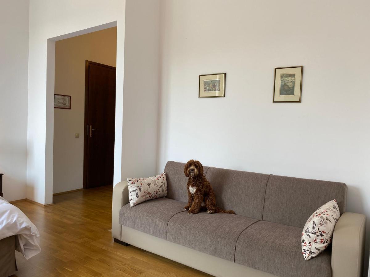Kakasszeki Vendeghaz Hotel Székkutas Екстериор снимка